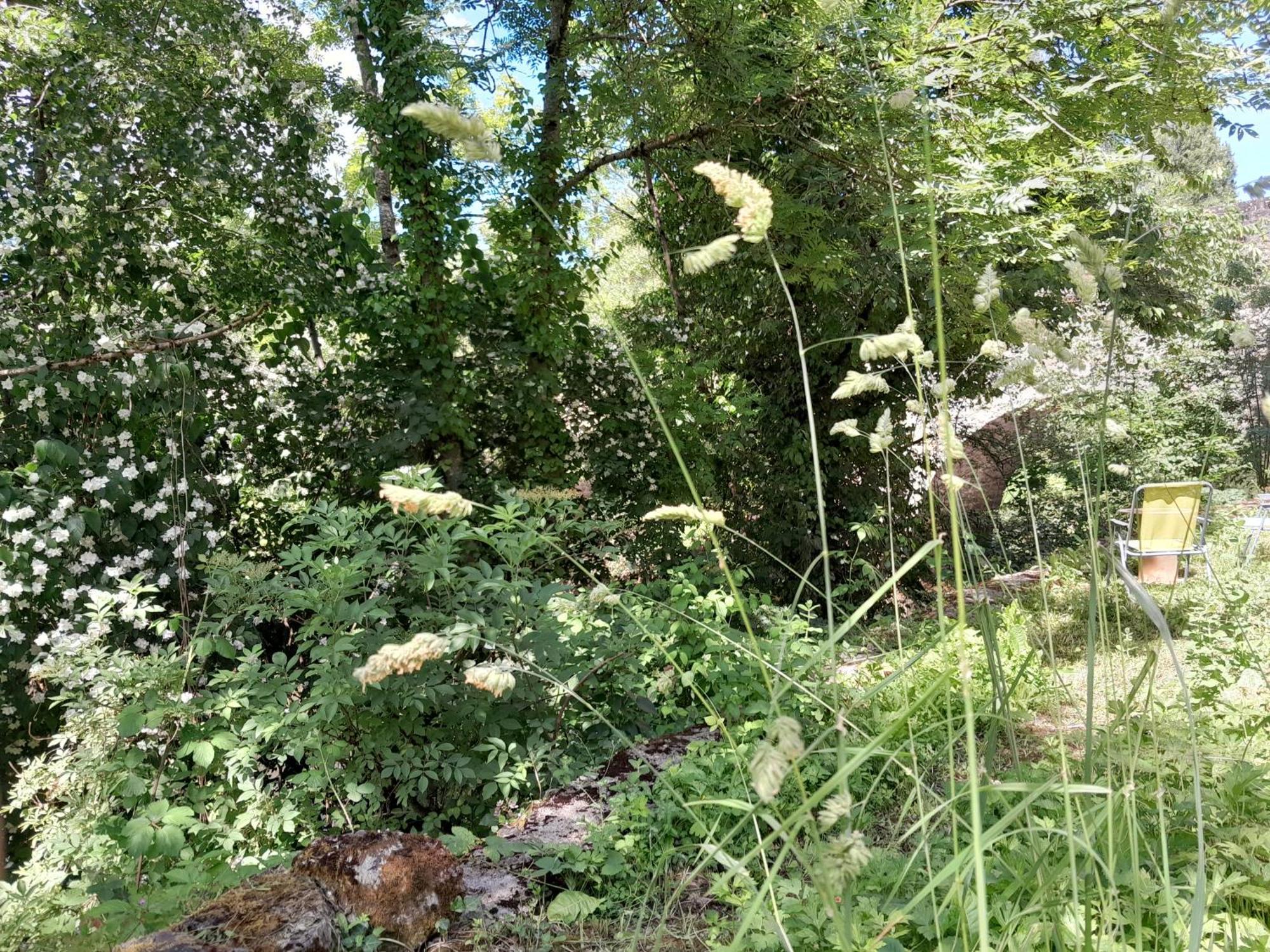 Appartement Privatif En Bord De Riviere Фижак Екстериор снимка